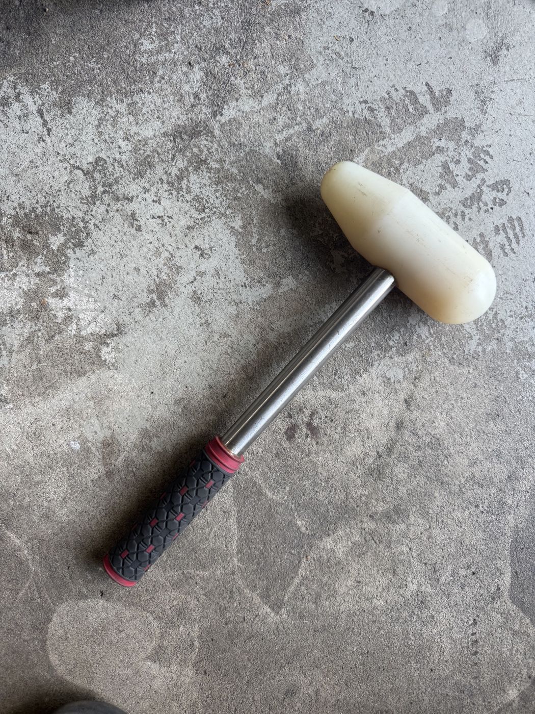 Schonhammer