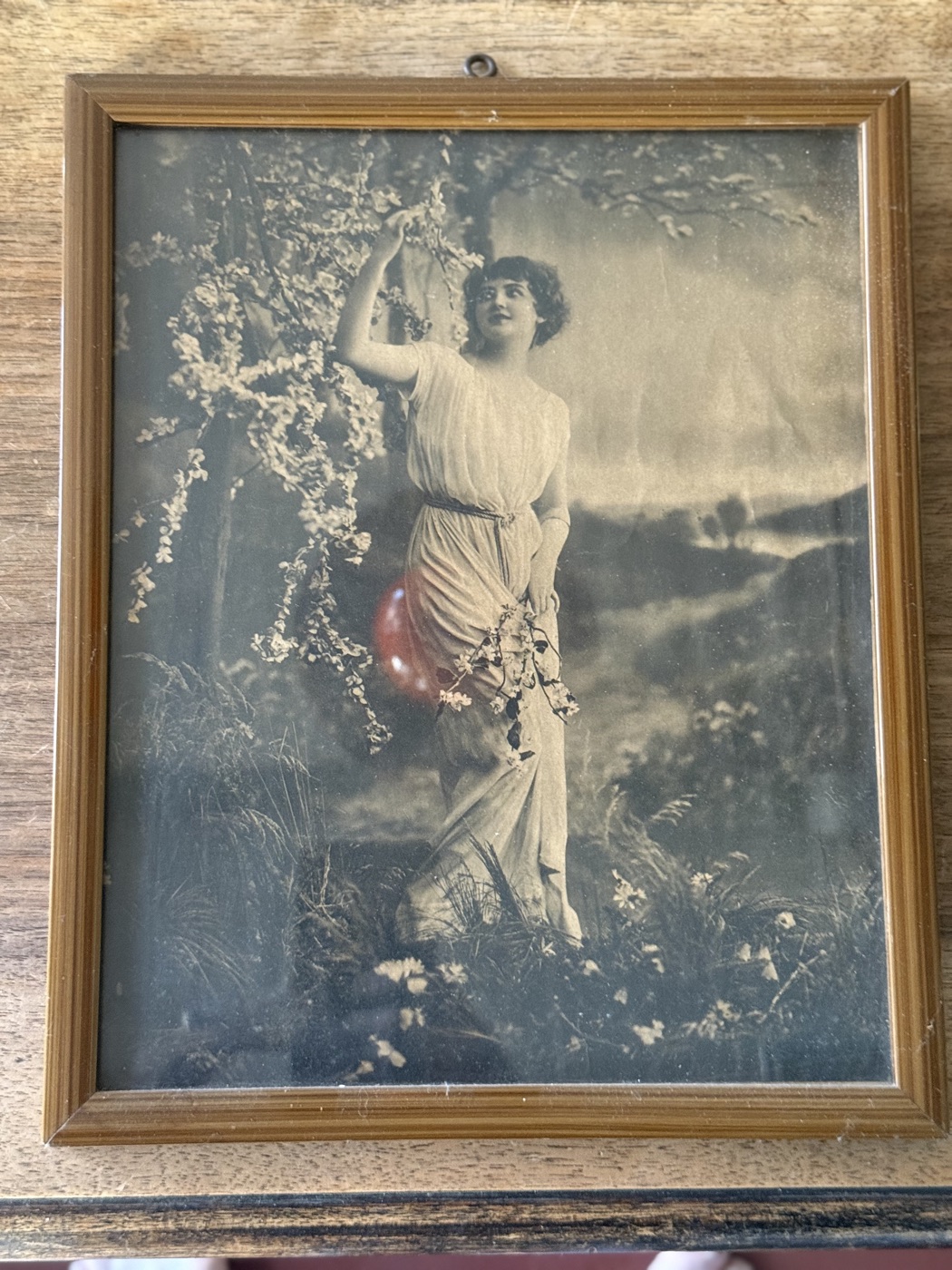 Gerahmtes Jugendstil-Bild · Frau im Blütenbaum