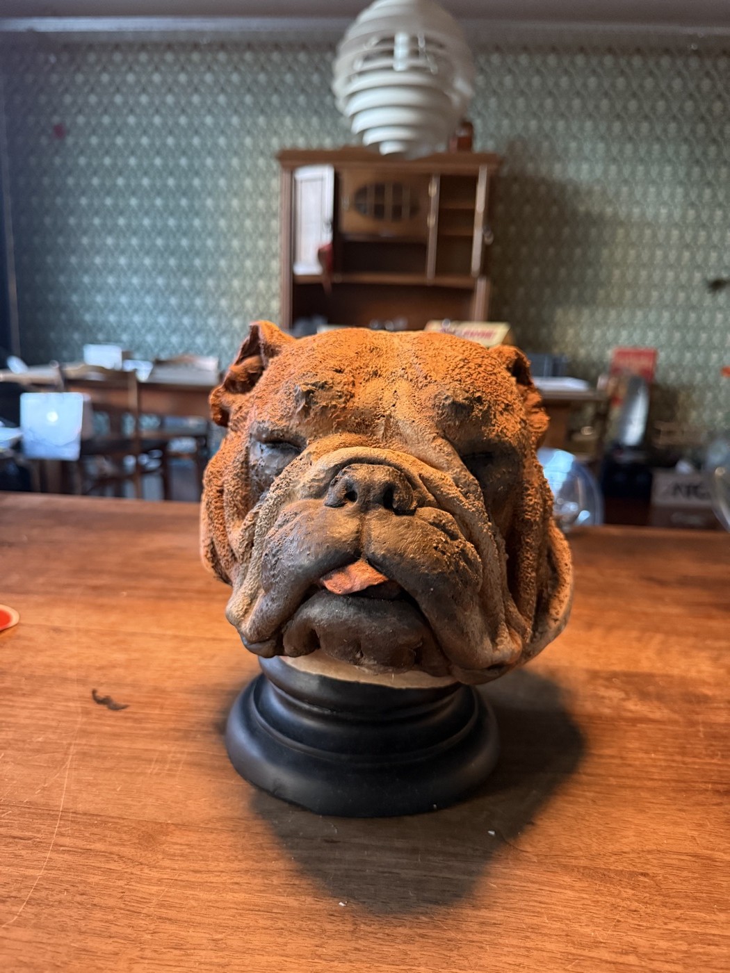 Bulldoggen-Kopf · Filmrequisit aus «Mad Heidi»