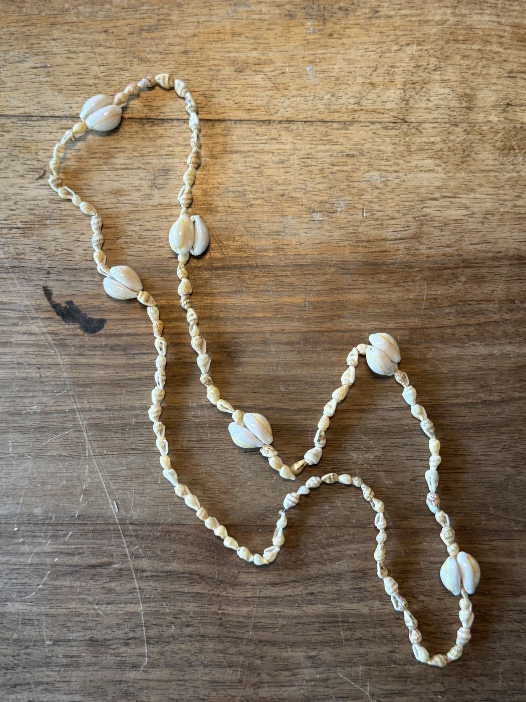 Muschelkette · kleine Kauris auf Schnur