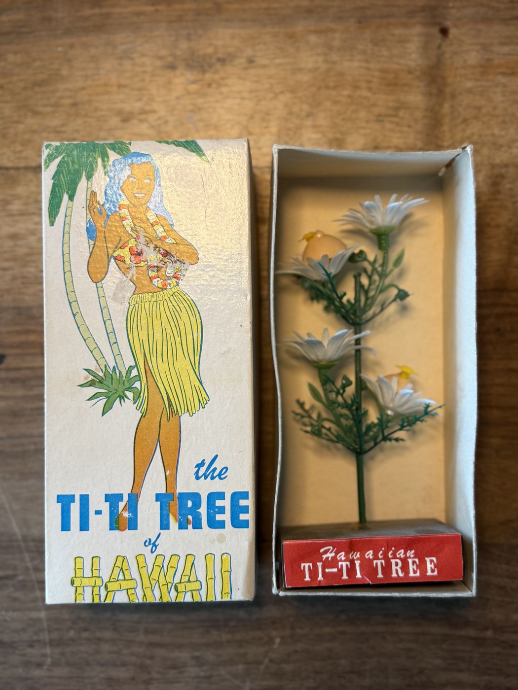«The Ti-Ti Tree of Hawaii» · Souvenir in Originalschachtel