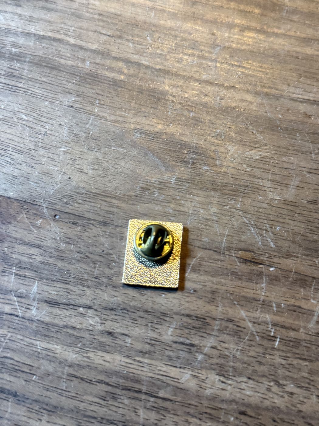 Anstecknadel «Switzerland» · goldfarben