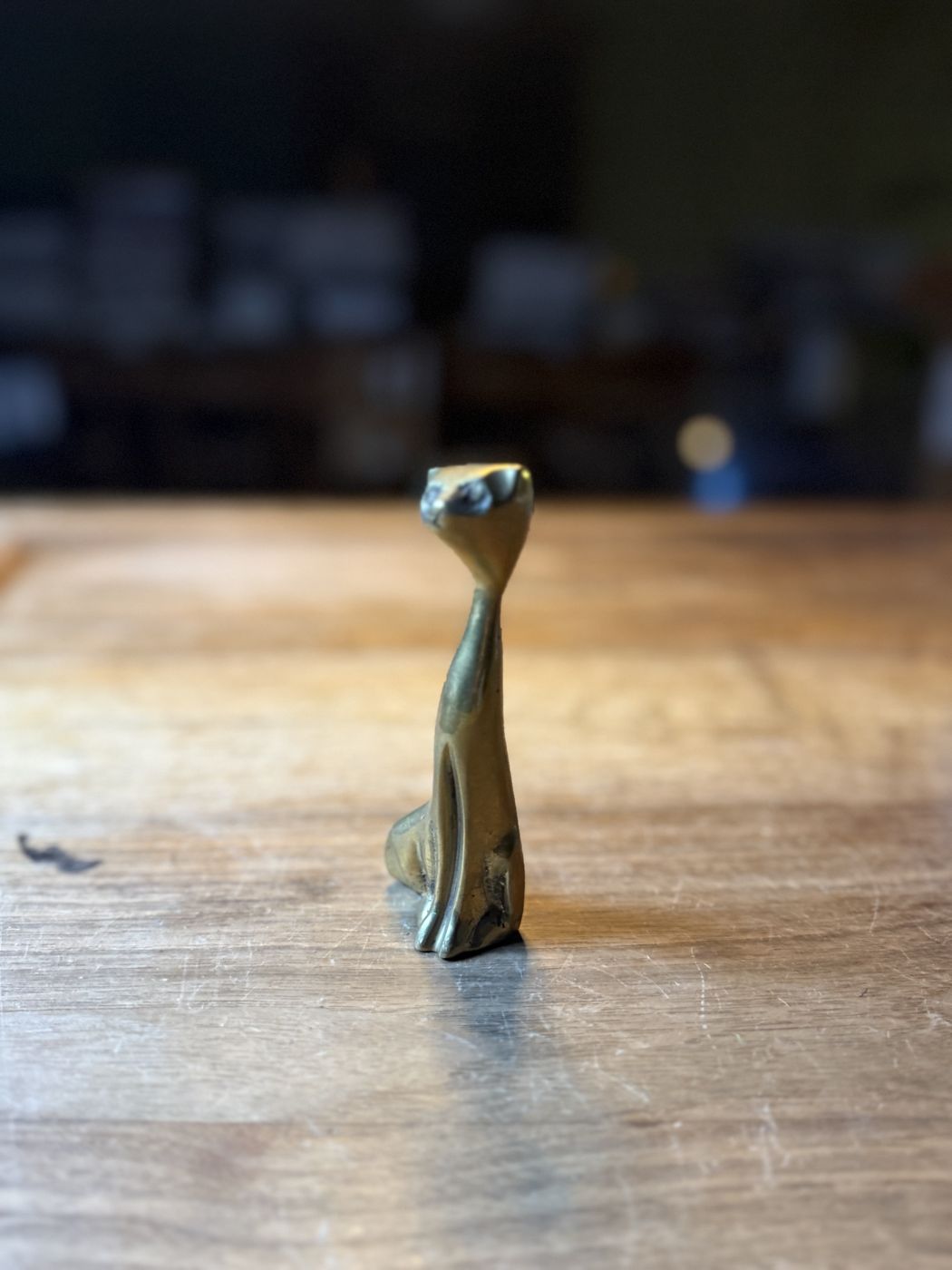 Katze schlank · mit Indien-Etikett