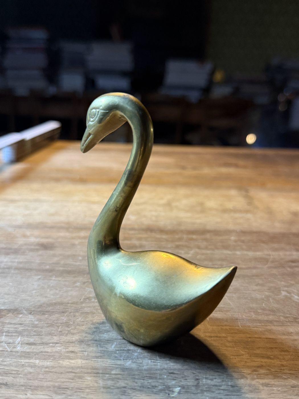 Schwan gross