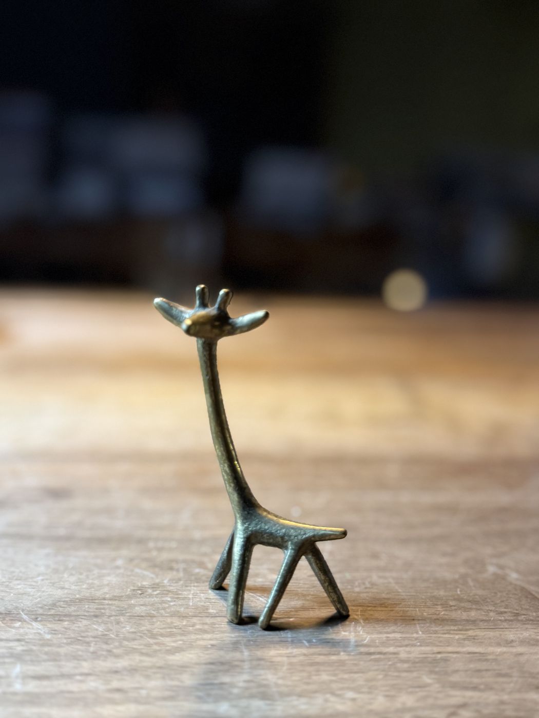 Giraffe · sehr schlank