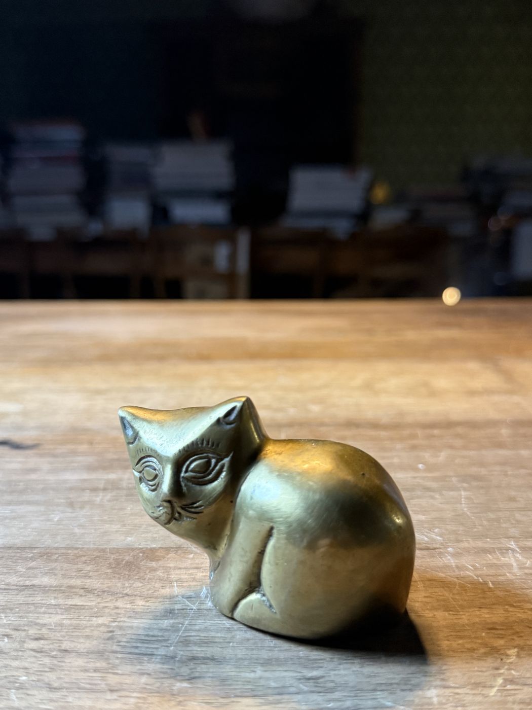 Katze liegend