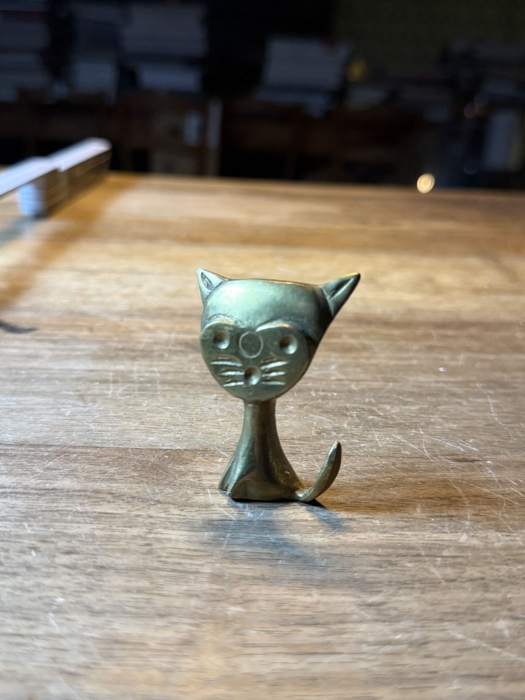 Katze mit grossen Ohren
